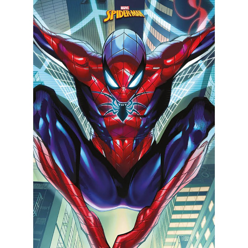 Boxed Posters - SPIDER-MAN