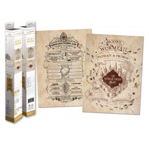 Boxed Posters - HARRY POTTER (Map and School List)