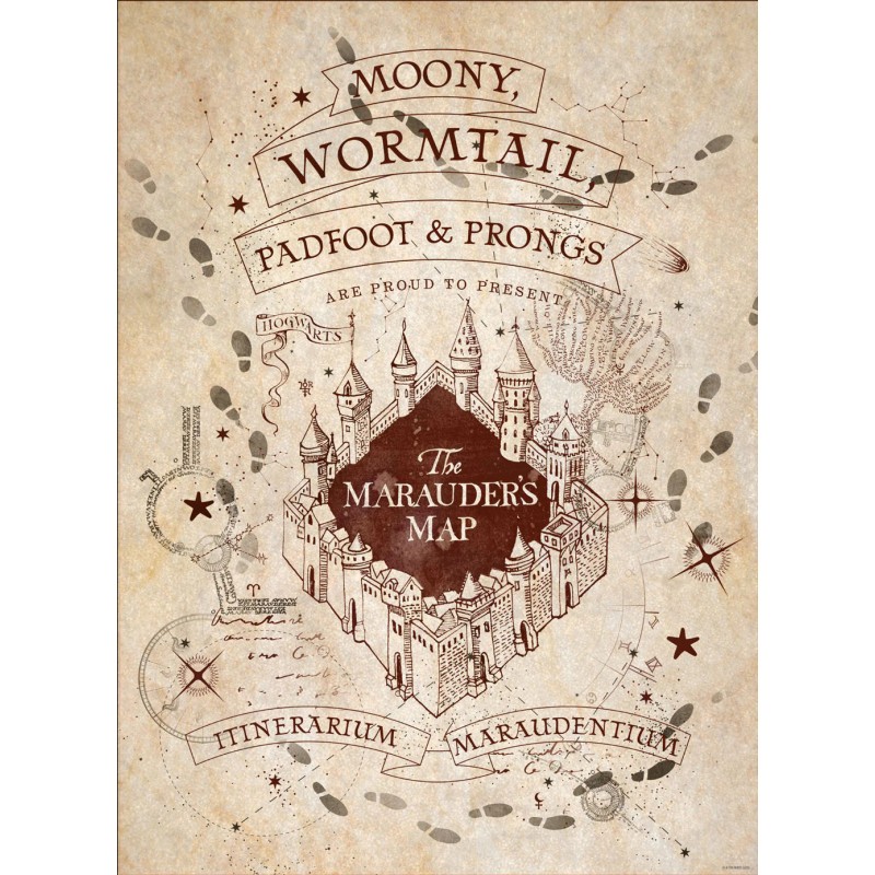 Boxed Posters - HARRY POTTER (Map and School List)