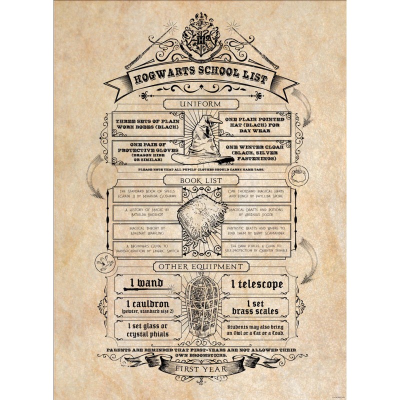 Boxed Posters - HARRY POTTER (Map and School List)