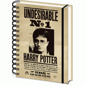 CDU Notebook A5 Wiro Harry Potter (Sirius &amp; Harry) 3D