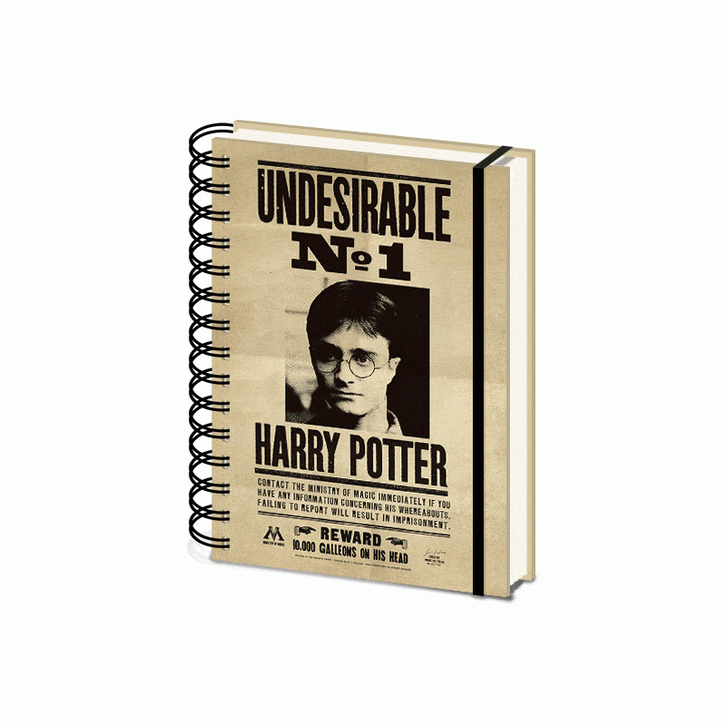 CDU Notebook A5 Wiro Harry Potter (Sirius &amp; Harry) 3D