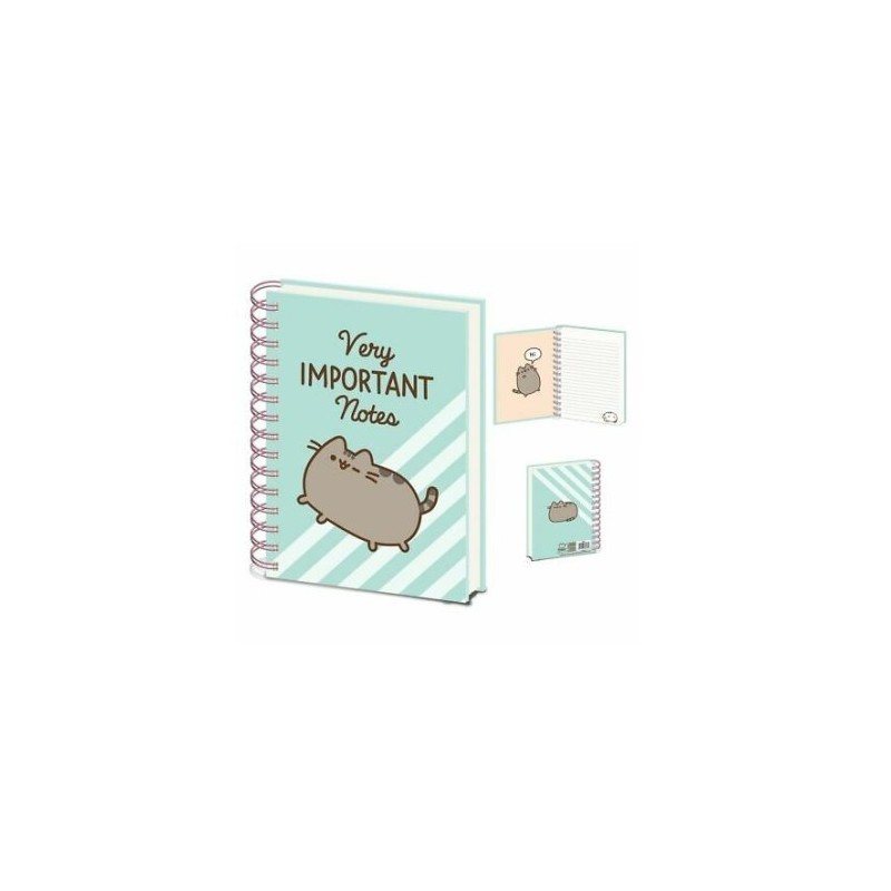 NOTEBOOK A5 PUSHEEN (VERY IMPORTANT NOTES)