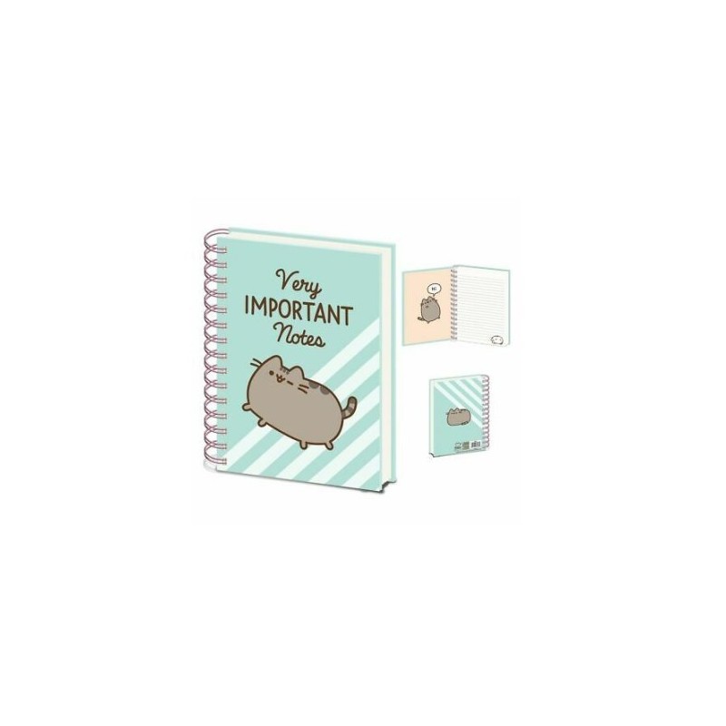 CD PUSHEEN (VERY IMPORTANT NOTES) A5 NOTEBOOK