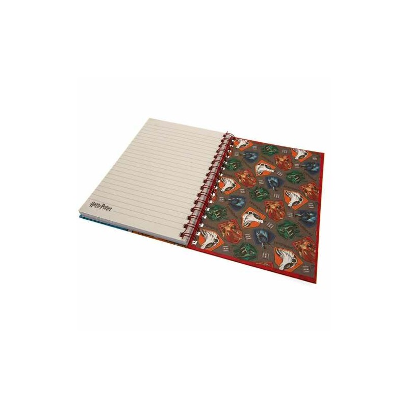 counter disp  Notebook A5 Wiro Harry Potter (Stand Together)