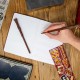 Harry Potter Wand Pen