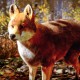 Hunting Simulator 3