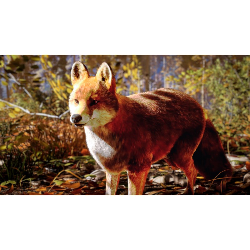 Hunting Simulator 3
