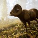 Hunting Simulator 3