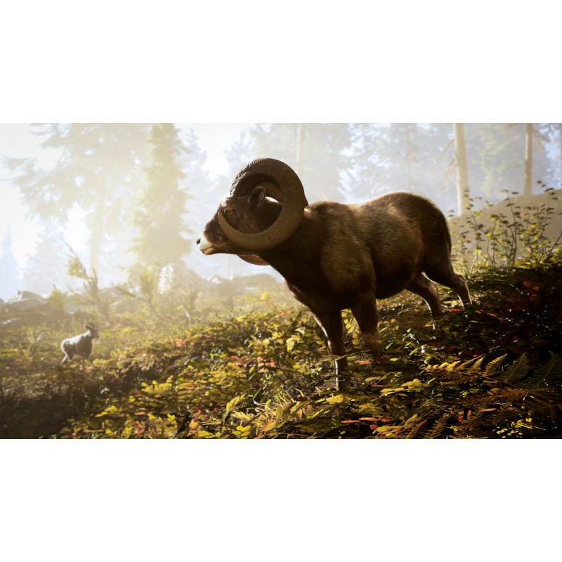 Hunting Simulator 3