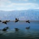 Hunting Simulator 3